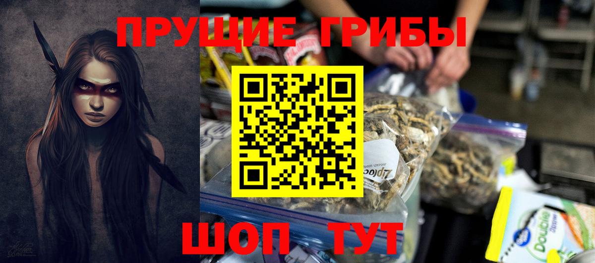 Орёл  Псилоцибиновые грибы GOLDEN TEACHER  Вход с VPN  Псилоцибиновые грибы GOLDEN TEACHER 